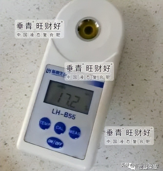 钦蜜九号百香果最新价格,正宗钦蜜9号百香果是哪里产的