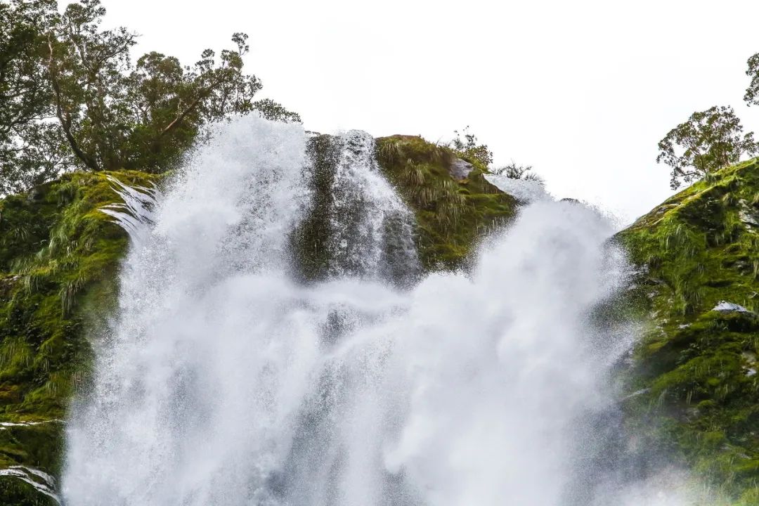 写给不被疫情束缚的心:用文字“云”游新西兰全境