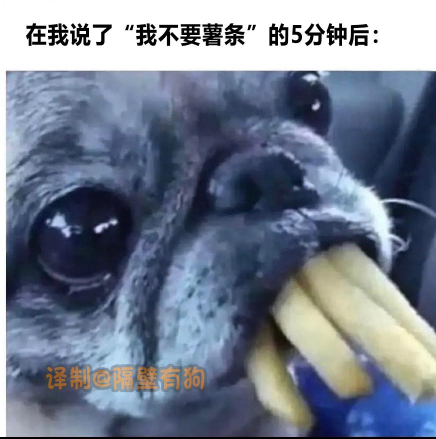 看完恐怖片不敢去最后一间厕所,看完恐怖片转移阵地