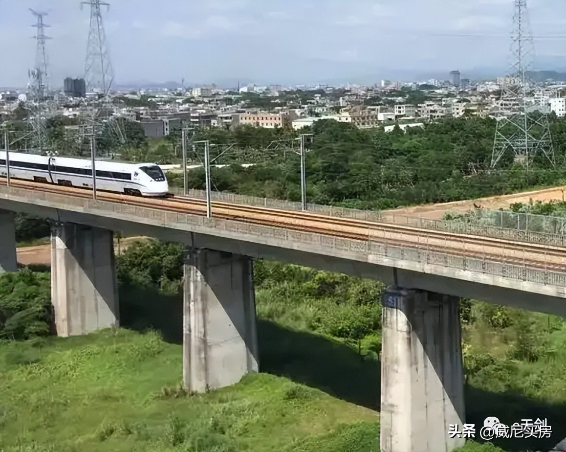 韭菜盘！南山悦时光，你在坪山呀