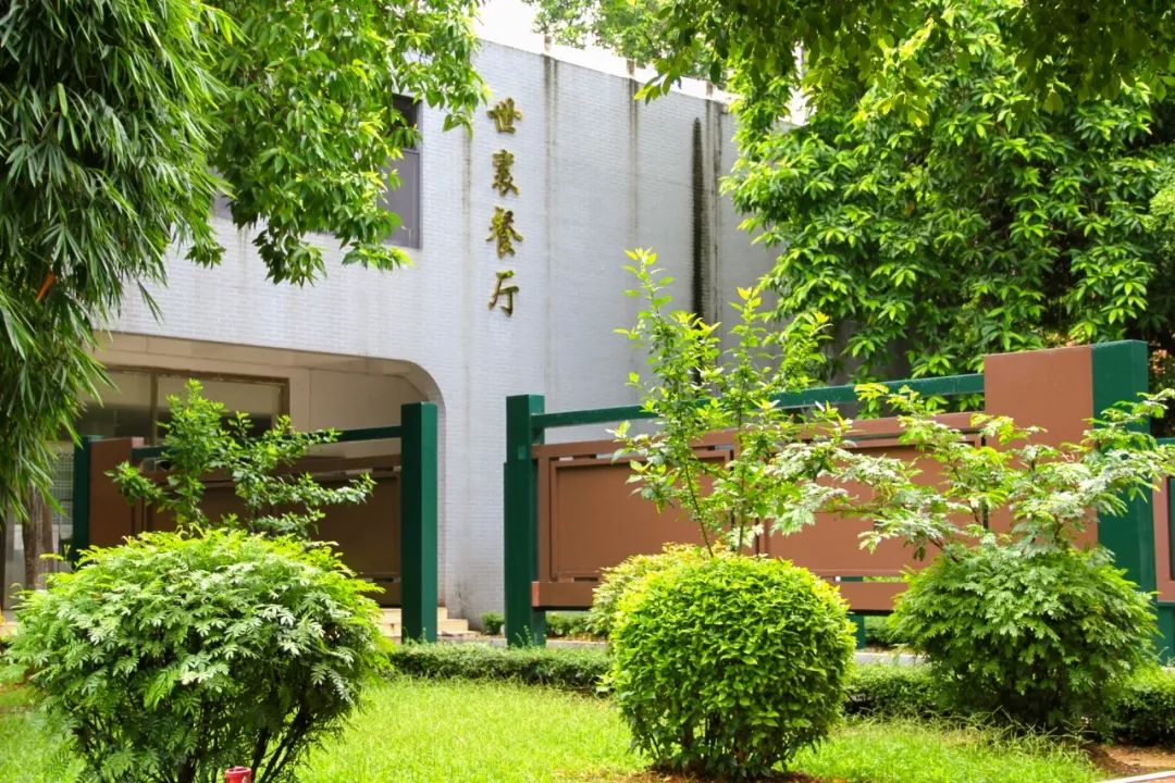 深圳市光明区民办高级中学,深圳光明高级中学体育场