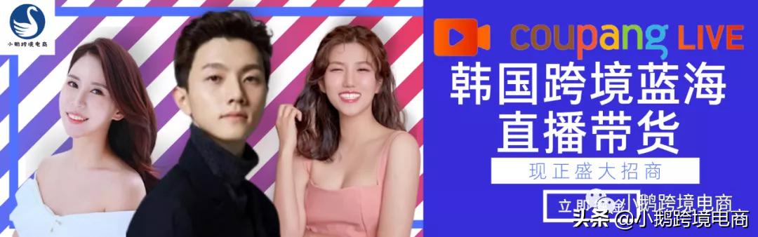 「新人向」保姆级教程，选品工具——Itemscout（上）