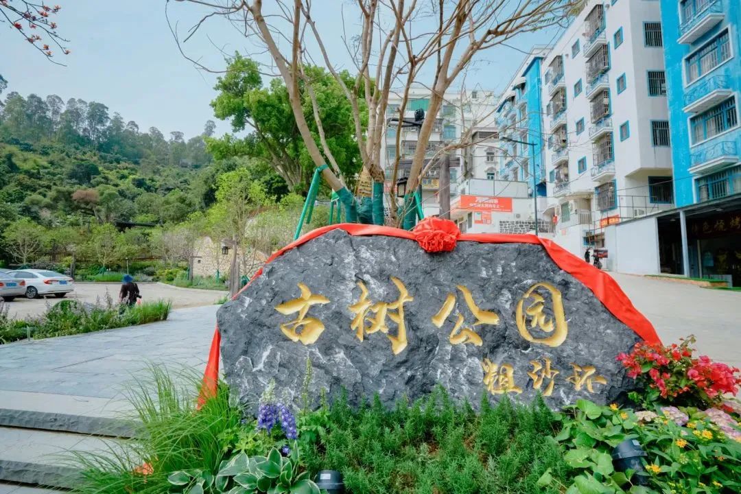 珠海斗门免费公园,斗门公园有哪些