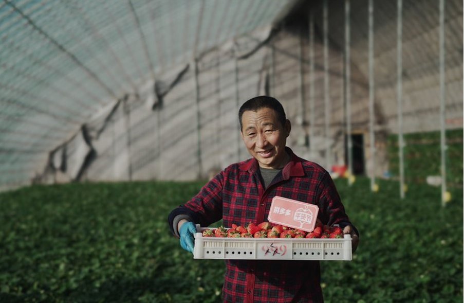 拼多多财报助农高歌猛进,拼多多二季度财报大超预期