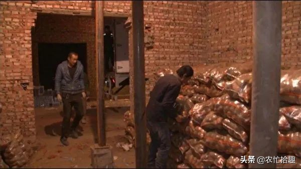 数百吨压仓卖不动,低至4毛5一斤,商家还在压价,农户亏大了