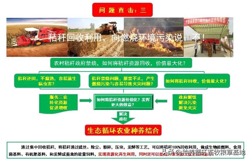 智慧农业园区建设可行性研究报告,智慧农业产业园可行性报告