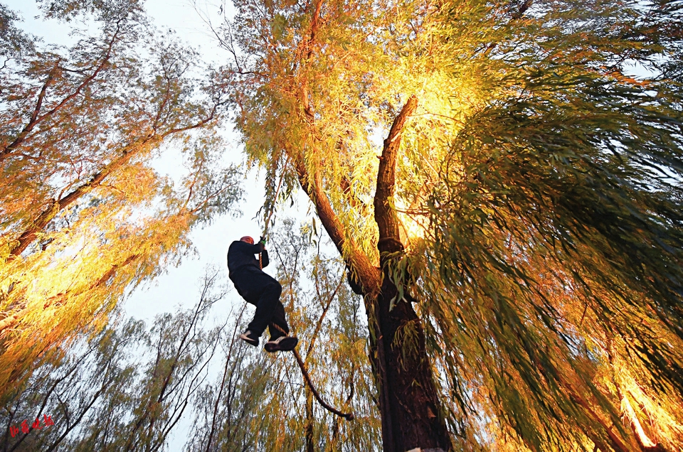 太原：“撸”杠花样多健身乐其中