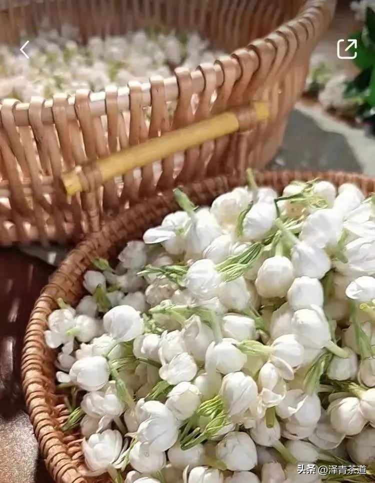 中国茶叶第一产茶大省,陕西中国茶叶第一大省