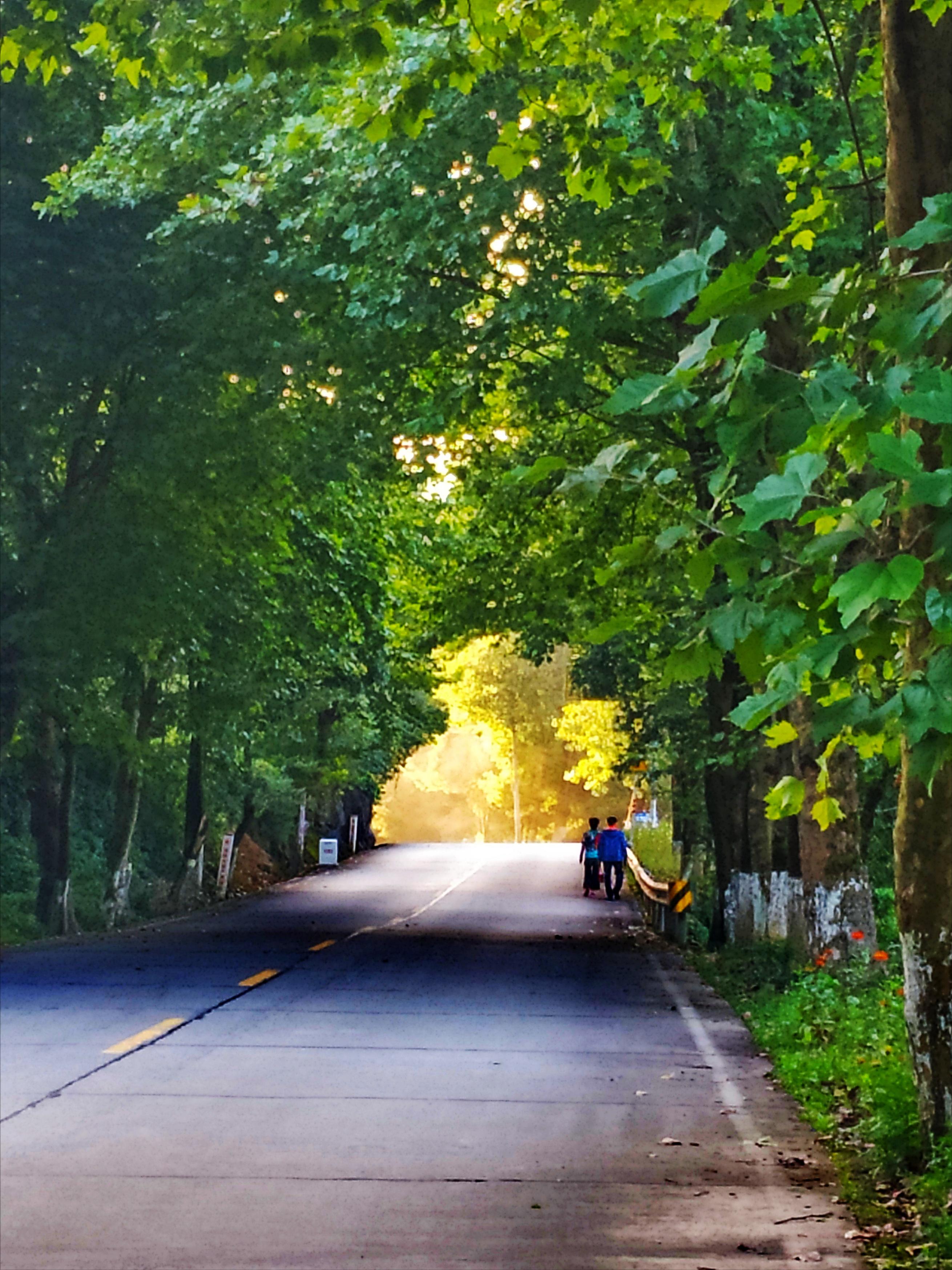 廿万公里42章再上青岗坪,重吃特供菜,湖北避暑大比拼