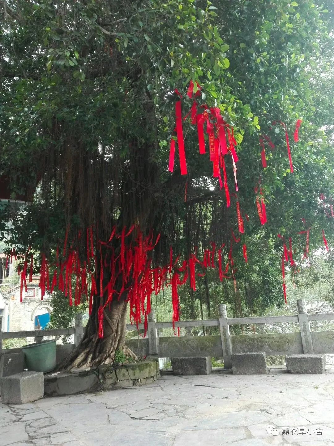 穷游桂林至阳朔多少钱,穷游广西全集完整版