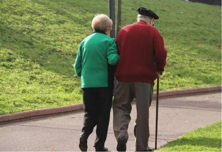 硒的知识,硒知识学习