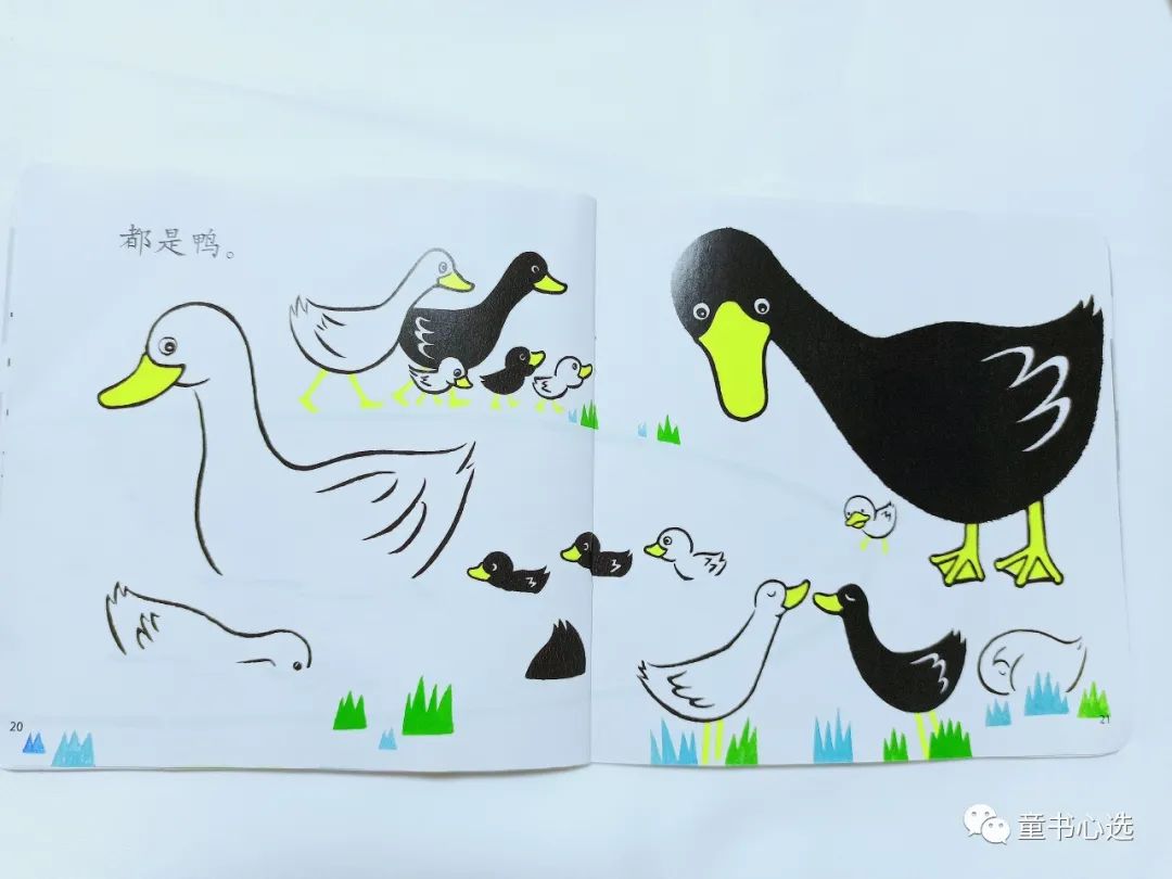 不知道怎么给宝宝做认识启蒙？这套趣味绘本值得给满分