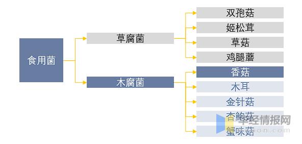 香菇市场成交量,2022年香菇产量