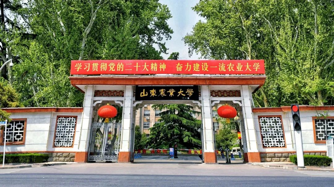 济宁医学院2023招生计划本科,山东农业大学2023招生计划