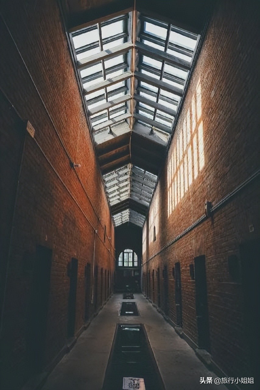 夏日海边微醺氛围感,滨城风光秀丽浪漫气息爆表