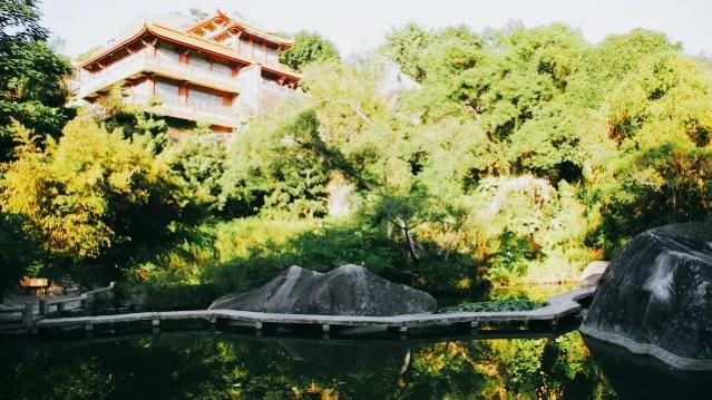 厦门经济特区建立四十周年的图片,厦门40年经济特区感想