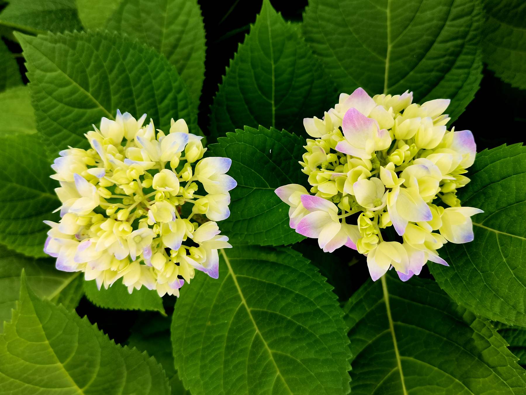 是仪：心中有民（八）