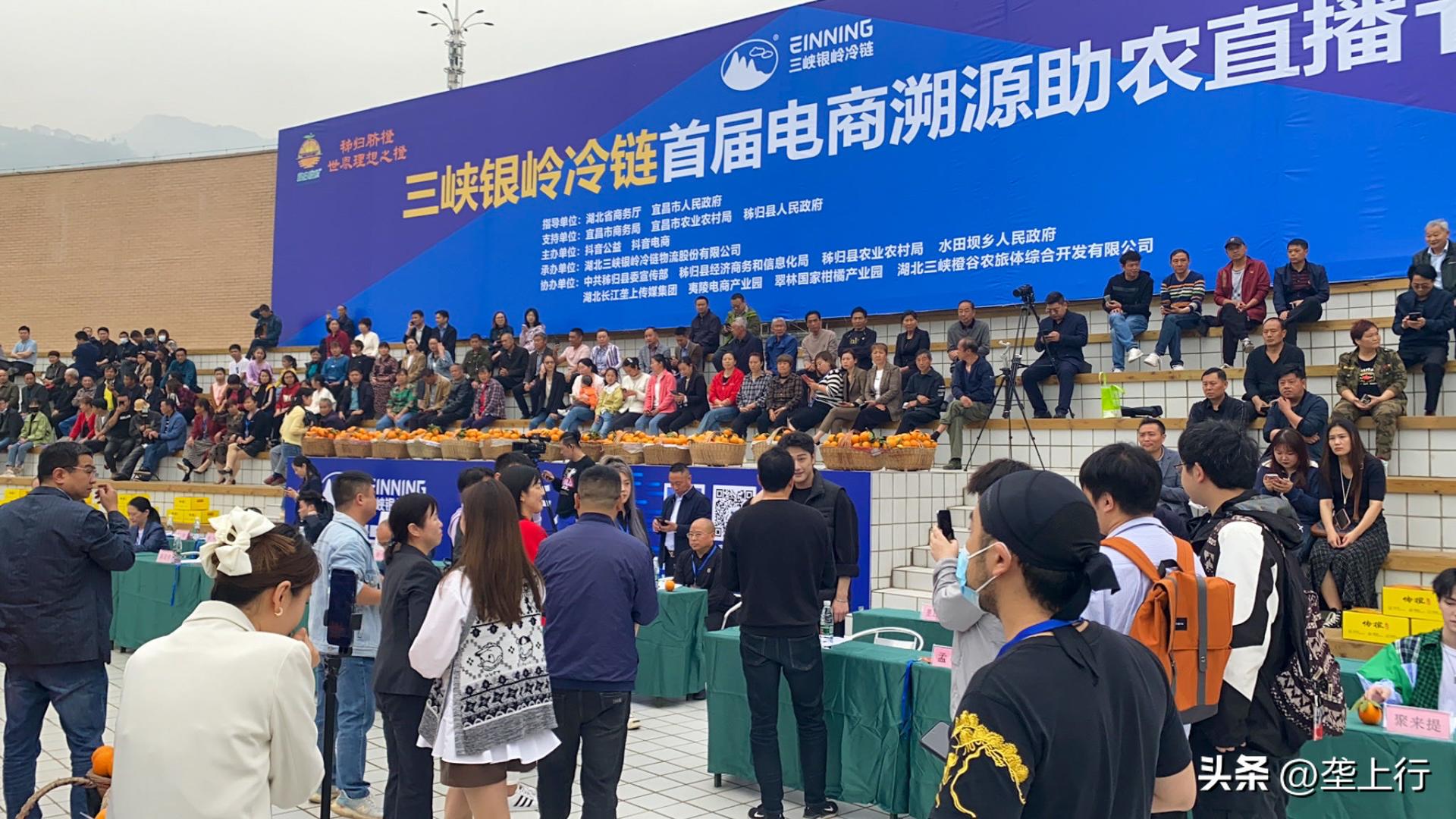 朱梓骁直播的秭归橙,朱梓骁直播助播