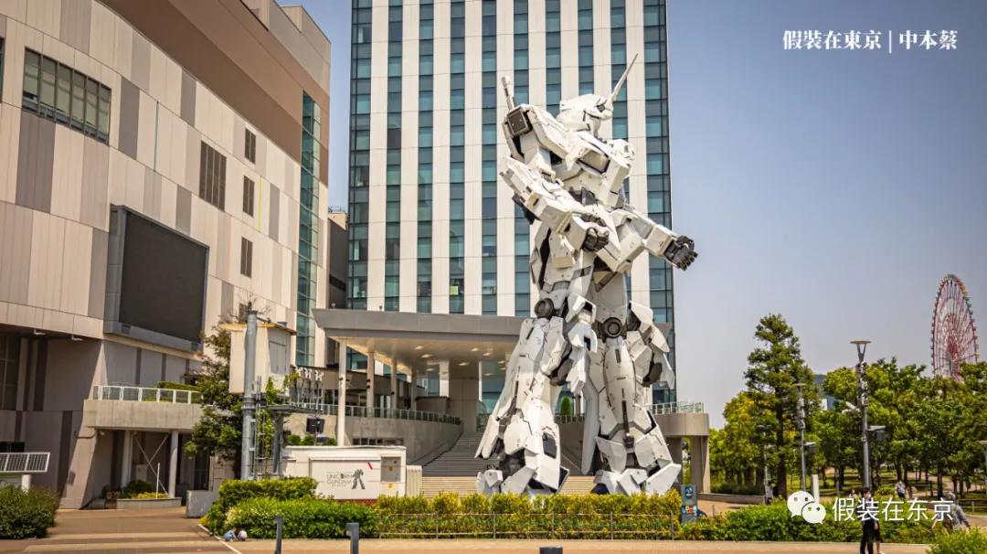 365张照片回顾,365张相片