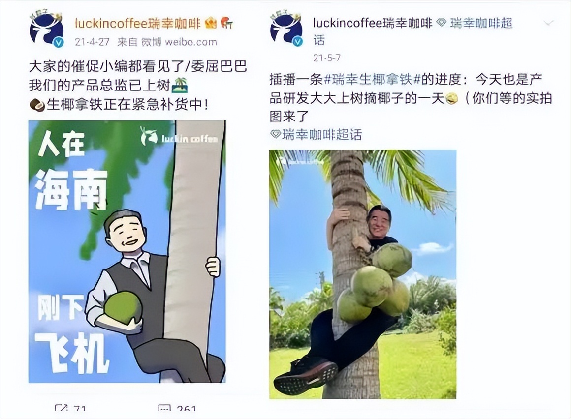 “椰风”四起,椰子元素为何越来越火?