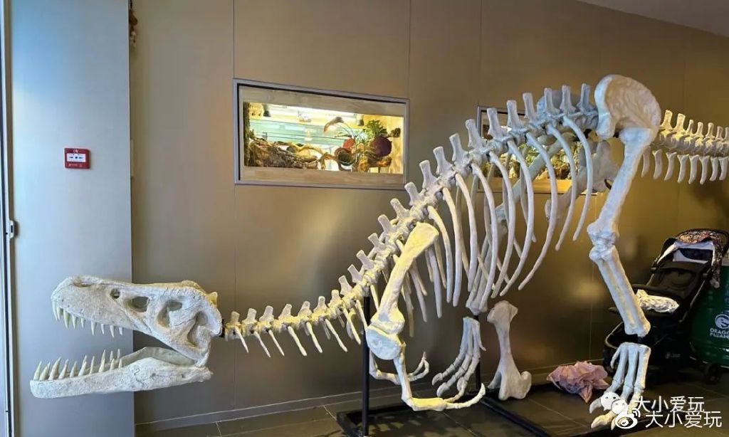 帝都有哪些好吃的餐厅,周末带娃去的餐厅推荐