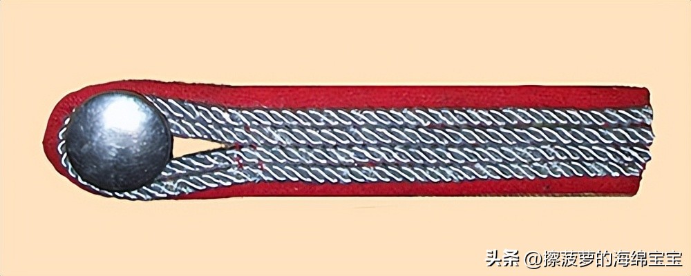 纳粹冲锋队用的什么枪,纳粹德军军衔图解