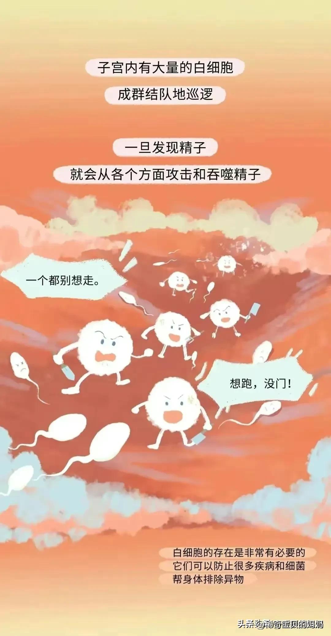 小蝌蚪动画过程讲解,小蝌蚪到青蛙生长过程动漫