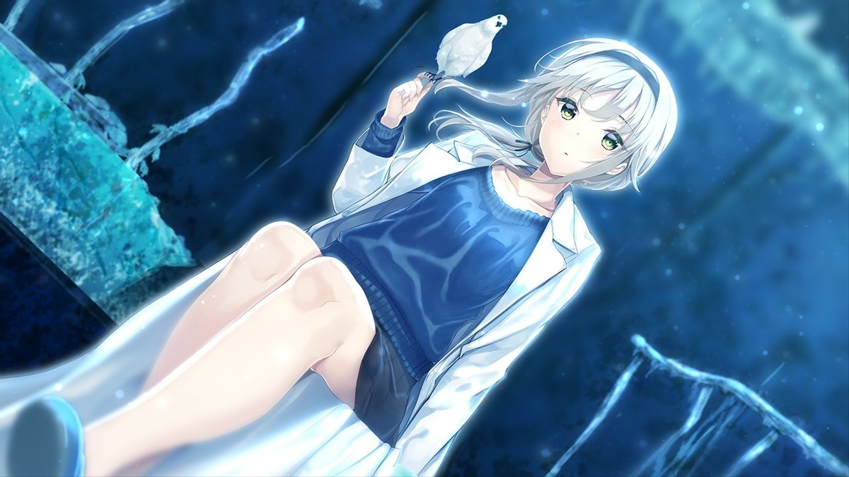 《未来广播与人工鸽》：比起这个世界，你更重要