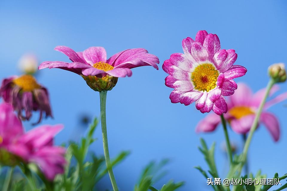 赵小明：3分钟掌握互联网商业思维，赚钱难，是因为你的方法不对