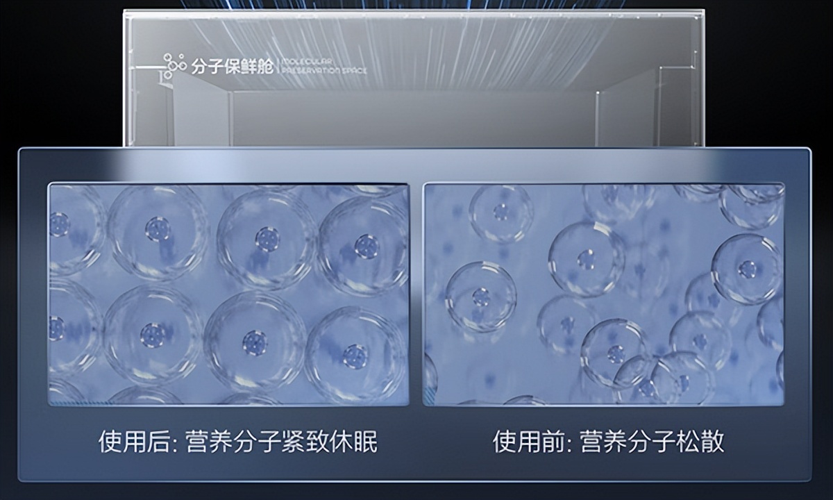 tcl冰箱q10最大容量,tcl格物冰箱q10助您居家囤鲜