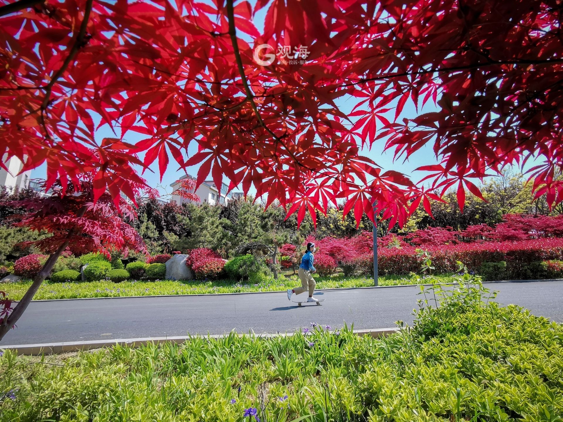 双山公园有什么好玩的,双山公园海宁