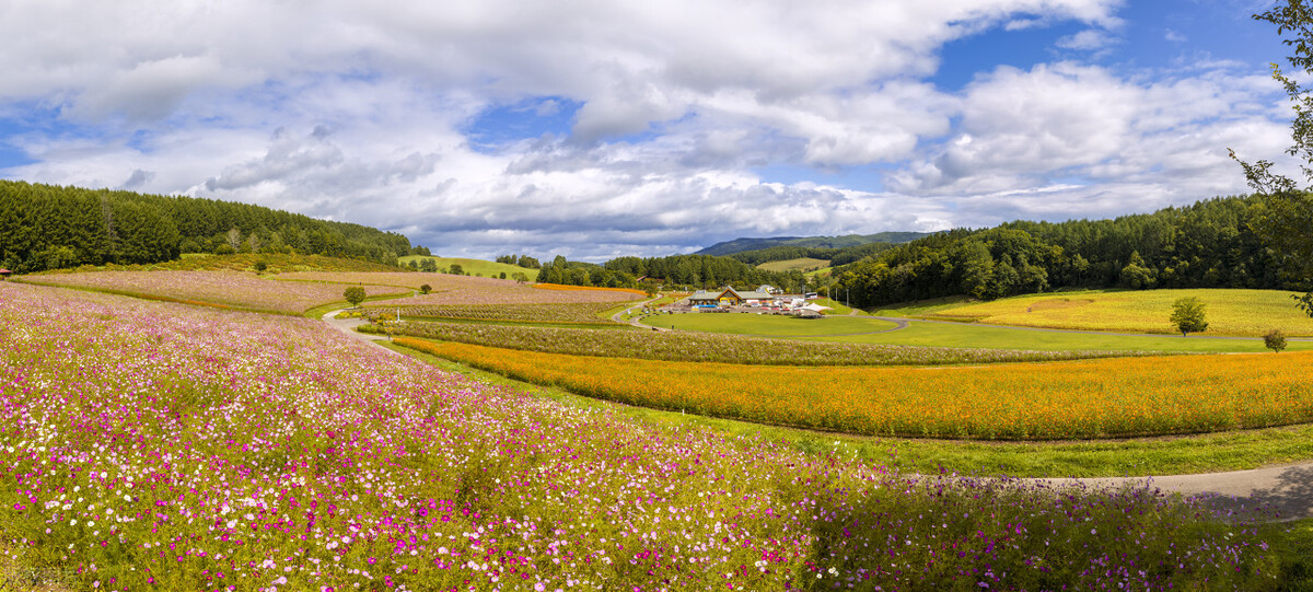 日本札幌有什么好玩的景点吗,日本必去十大景点排名