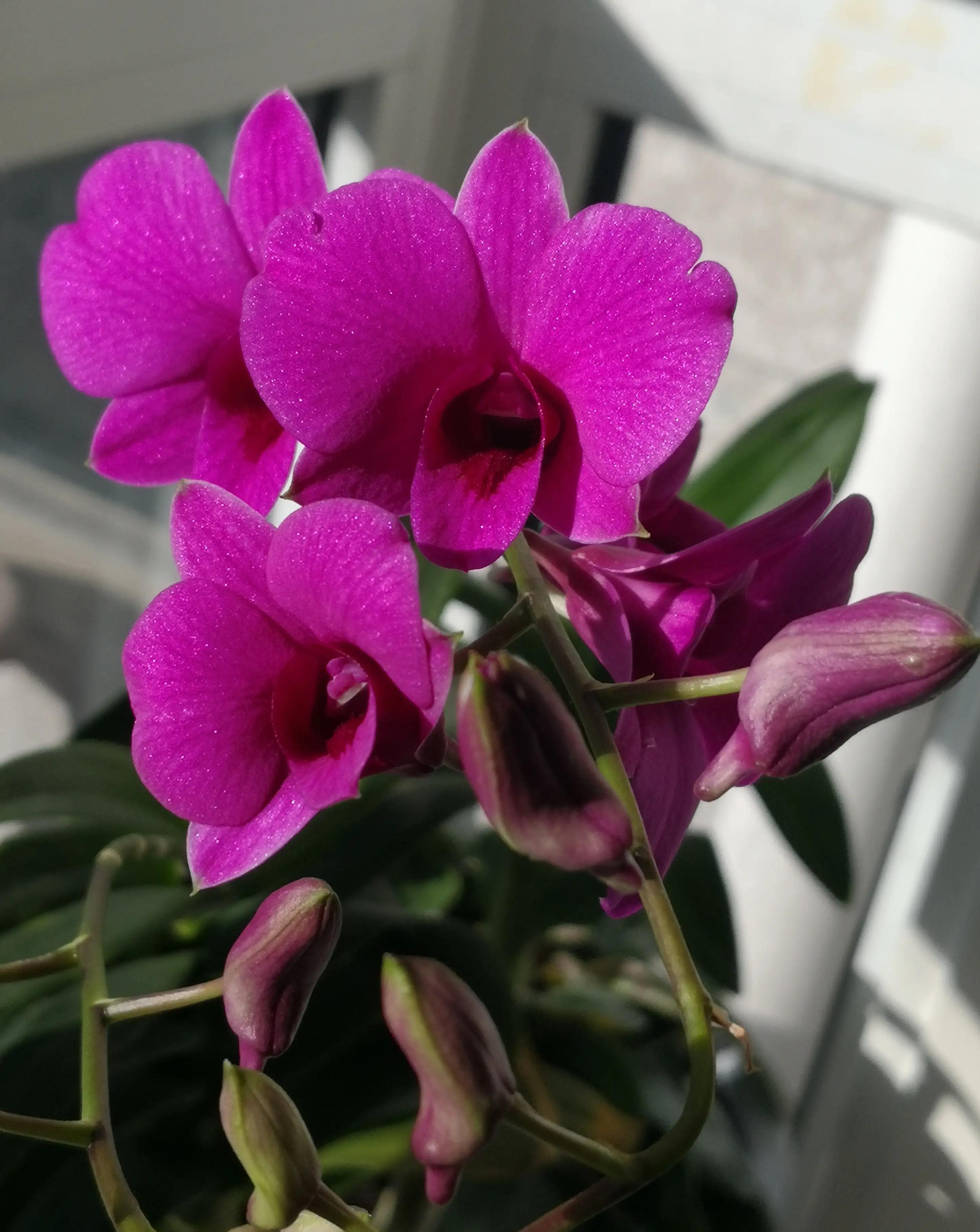 *华清刘**回忆录-18