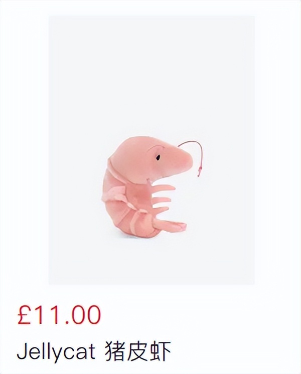 给jellycat海盗狗起名,jellycat全部款式