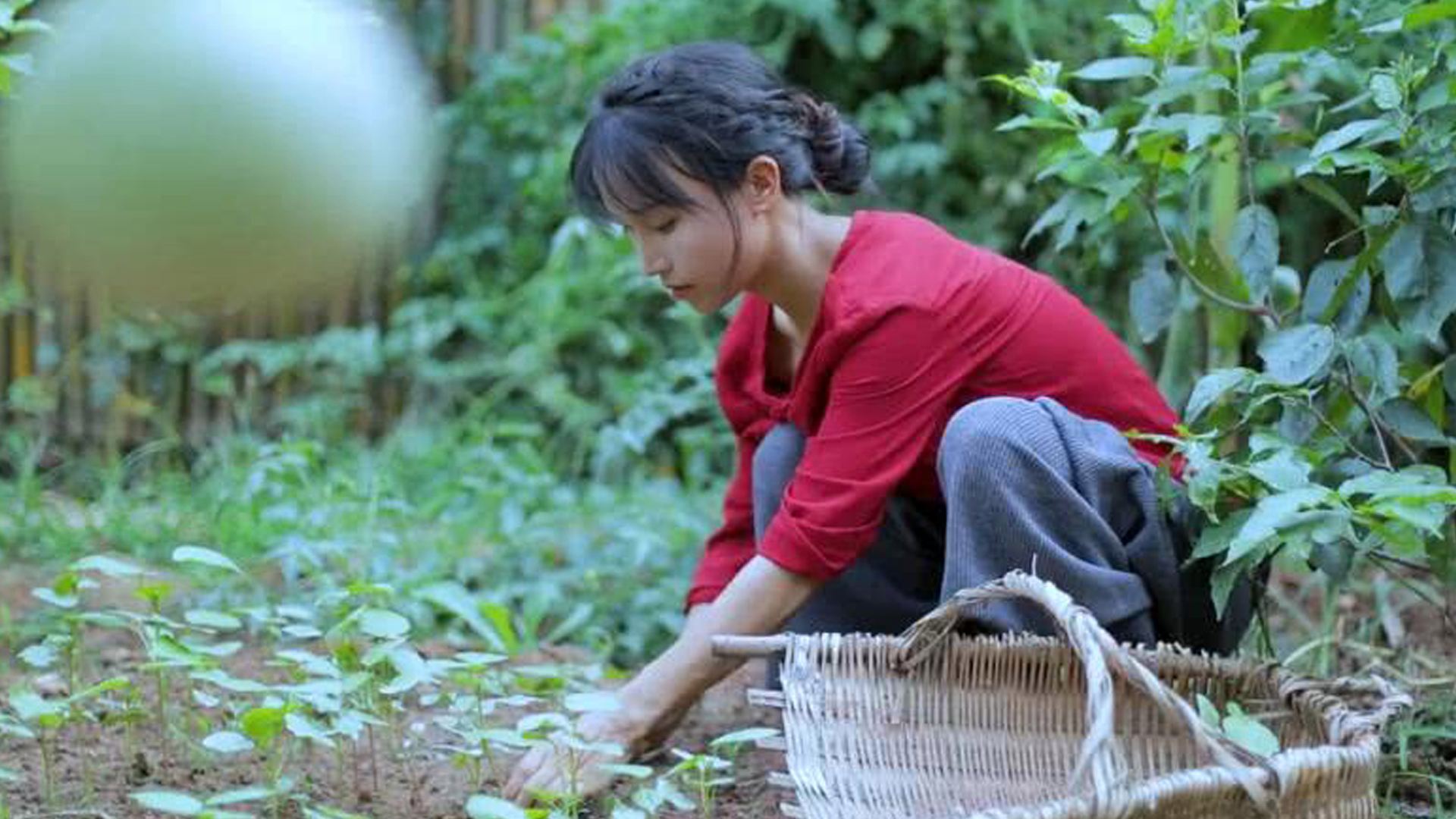 城市化利弊大揭秘,中国城市化发展现状及存在问题