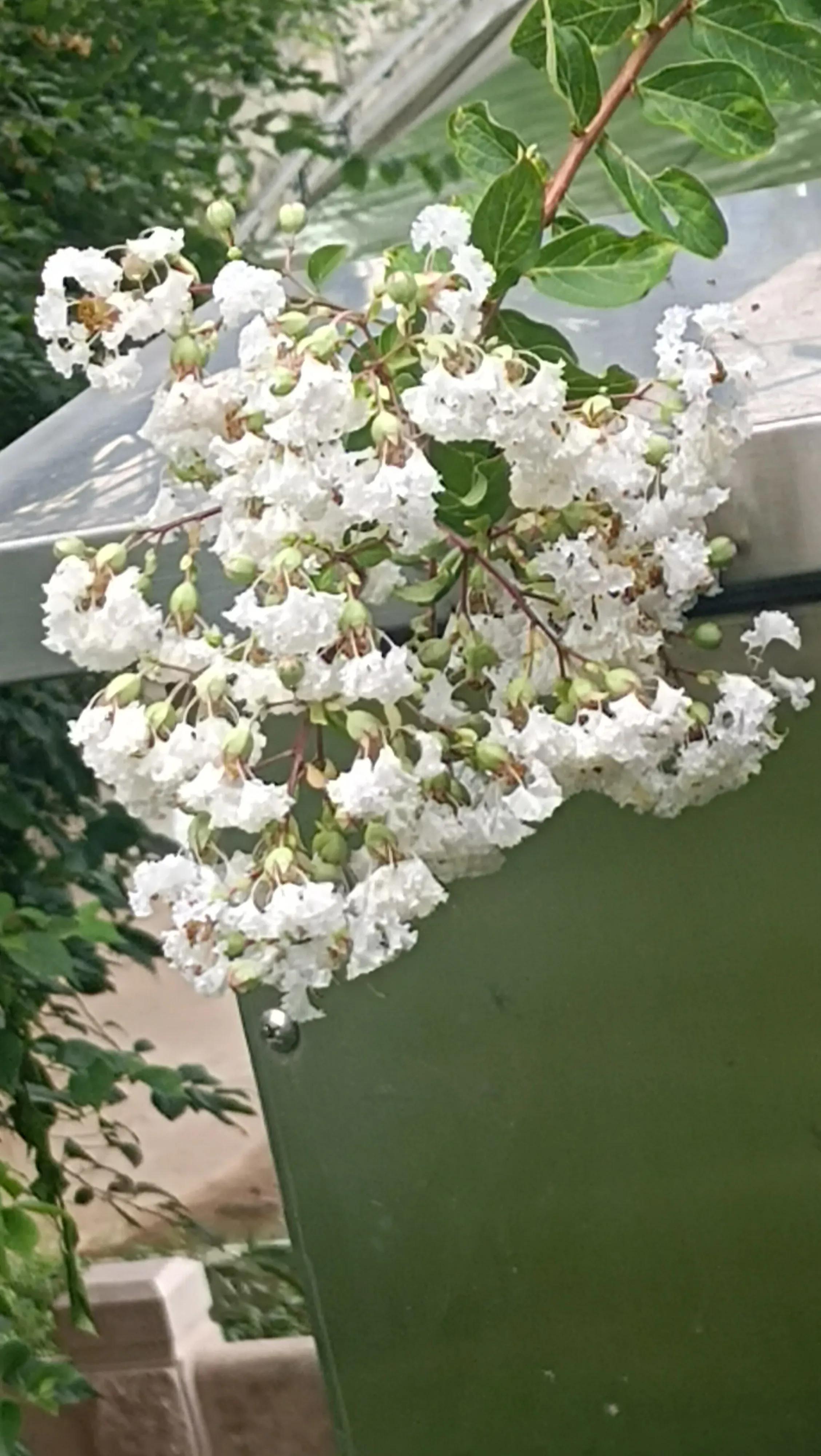 现在做媒人主要工作是什么,中国最吃香的职业媒人