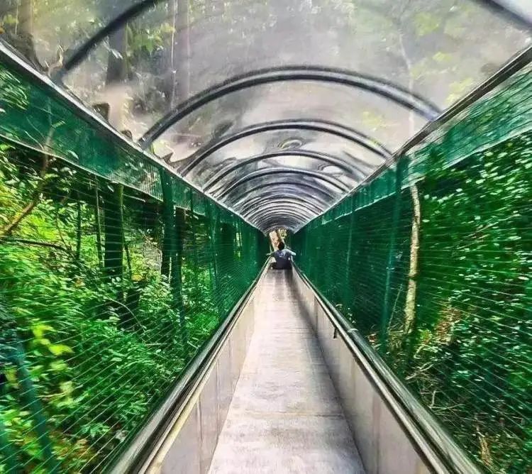 金华适合大学生旅游的地方,金华9月最值得去的地方