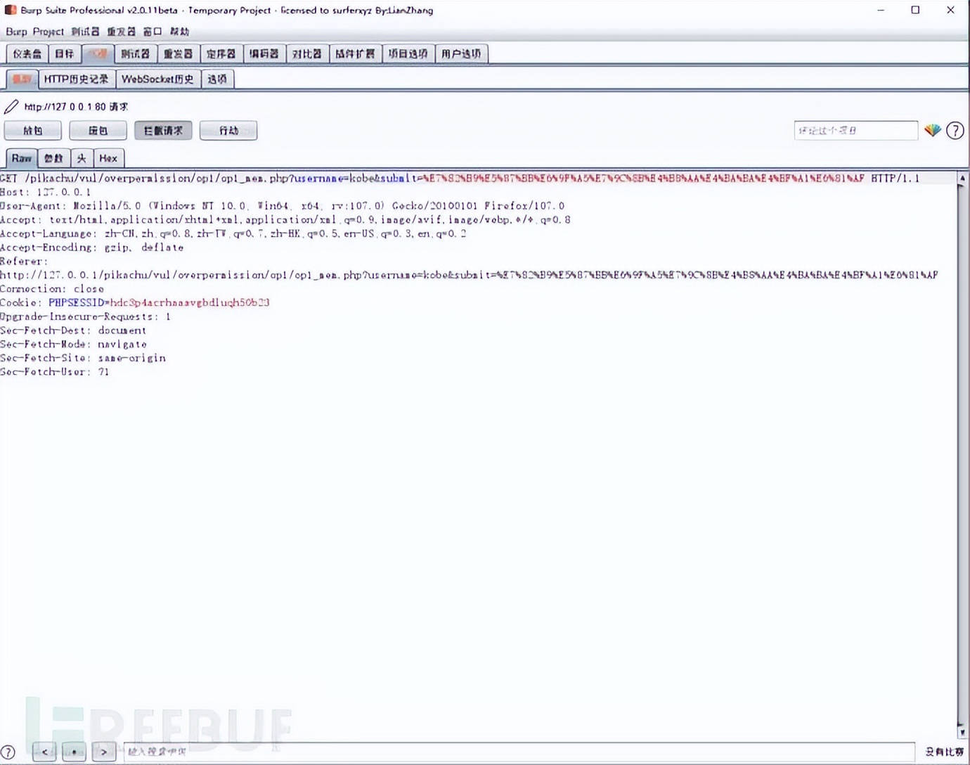常见十大web应用安全漏洞,常见web漏洞与防御