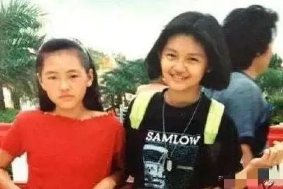 大S是办了热搜会员吗？十年没作品，为什么还是两岸的流量女王？