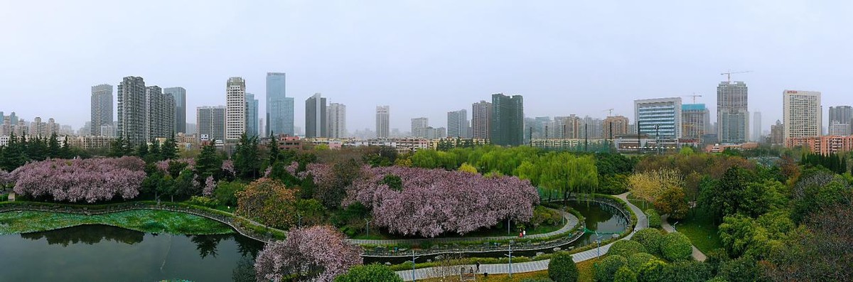 西安高新区公园,西安高新区艺术区