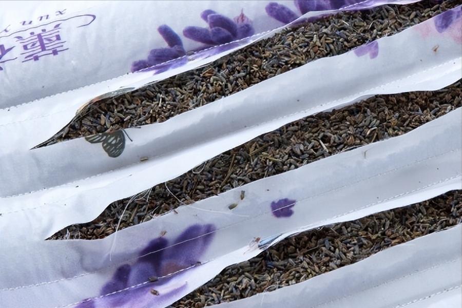 女子耳朵疼,女子耳朵痛痒难耐拆开枕头全是虫