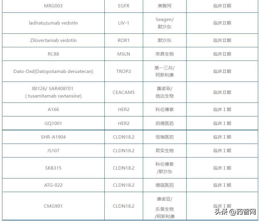 adc抗体偶联物在晚期胃癌的应用,adc胃癌