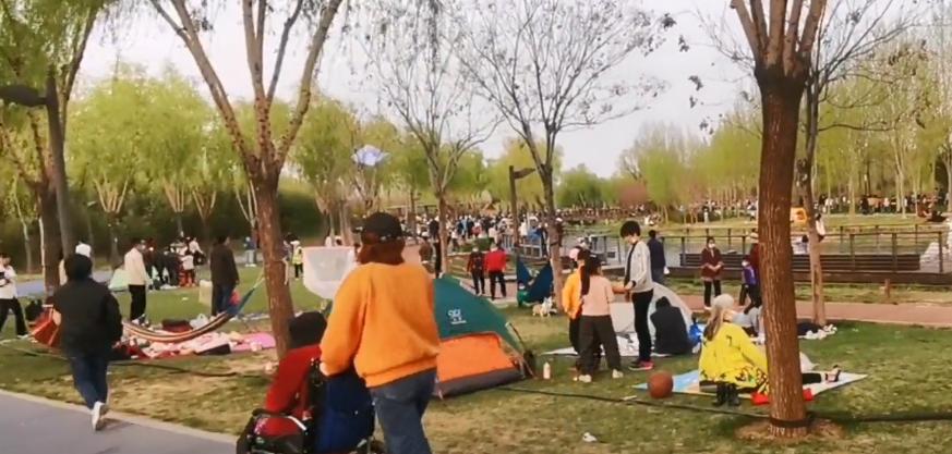 郑州周末遛娃踏青好去处,郑州春季带孩子游玩好去处推荐