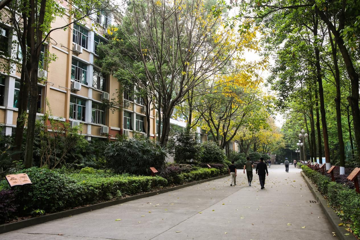 重庆实验中学和杨家坪中学哪个好,重庆礼嘉中学重庆排名