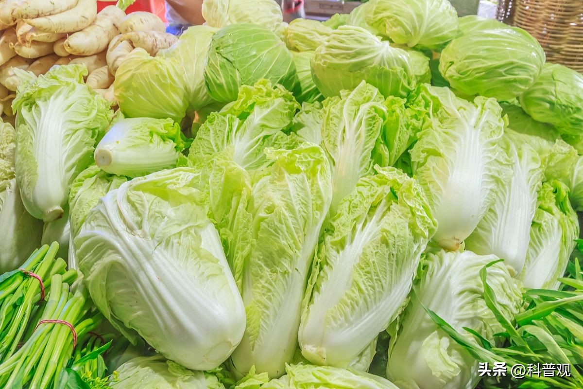 日本垄断中国市场百分之多少,日本垄断的西兰花