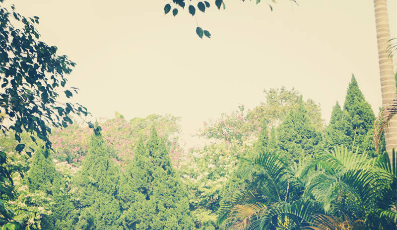 中国十大最好的二本大学,中国最好的十所二本大学