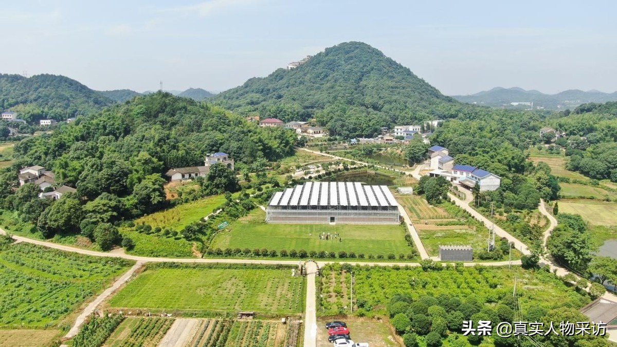 80鍚庡皬浼欒浆琛屽綋鍐滄皯,灞辨潙杩斾埂鍒涗笟