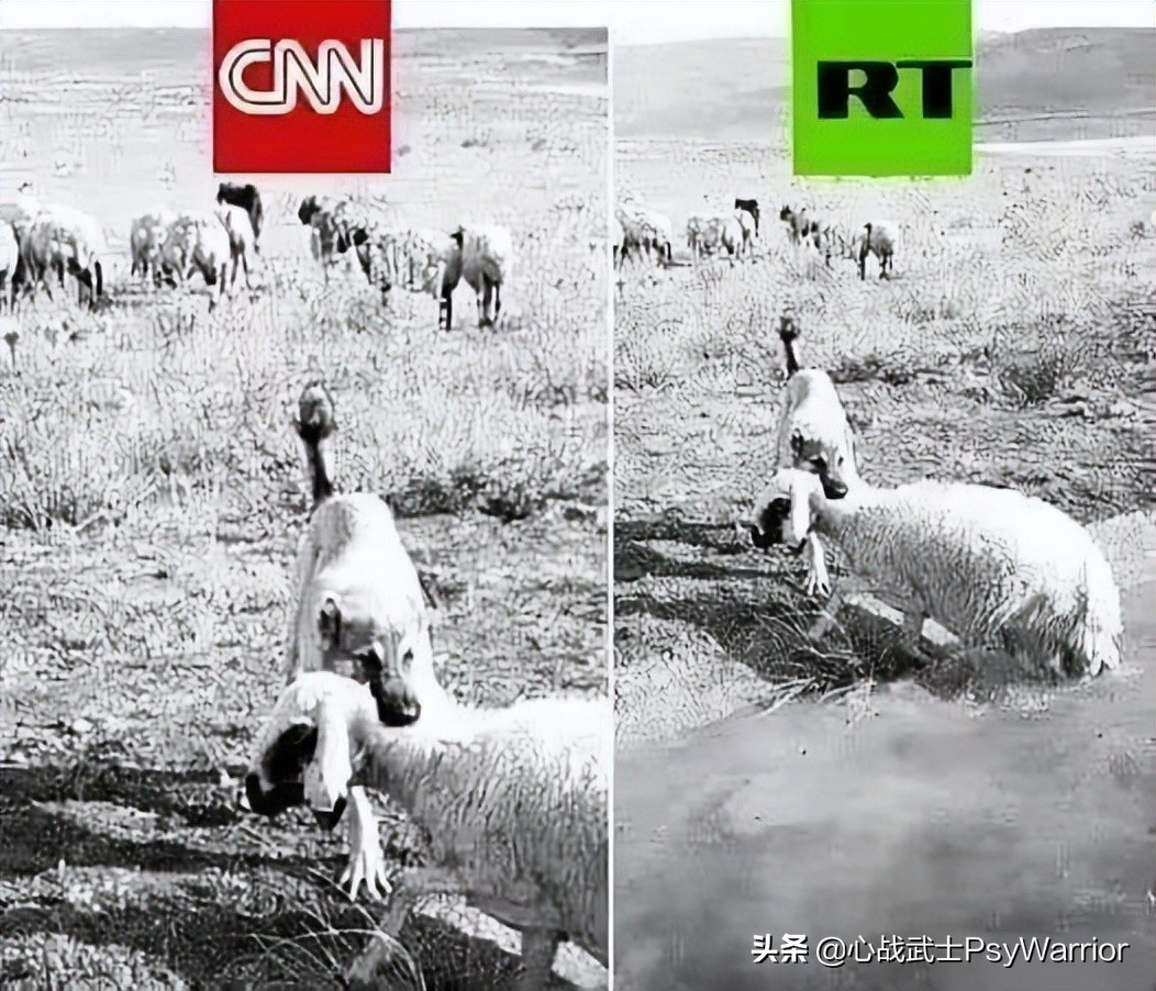 随意栽赃嫁祸别人犯了什么罪,栽赃嫁祸罪