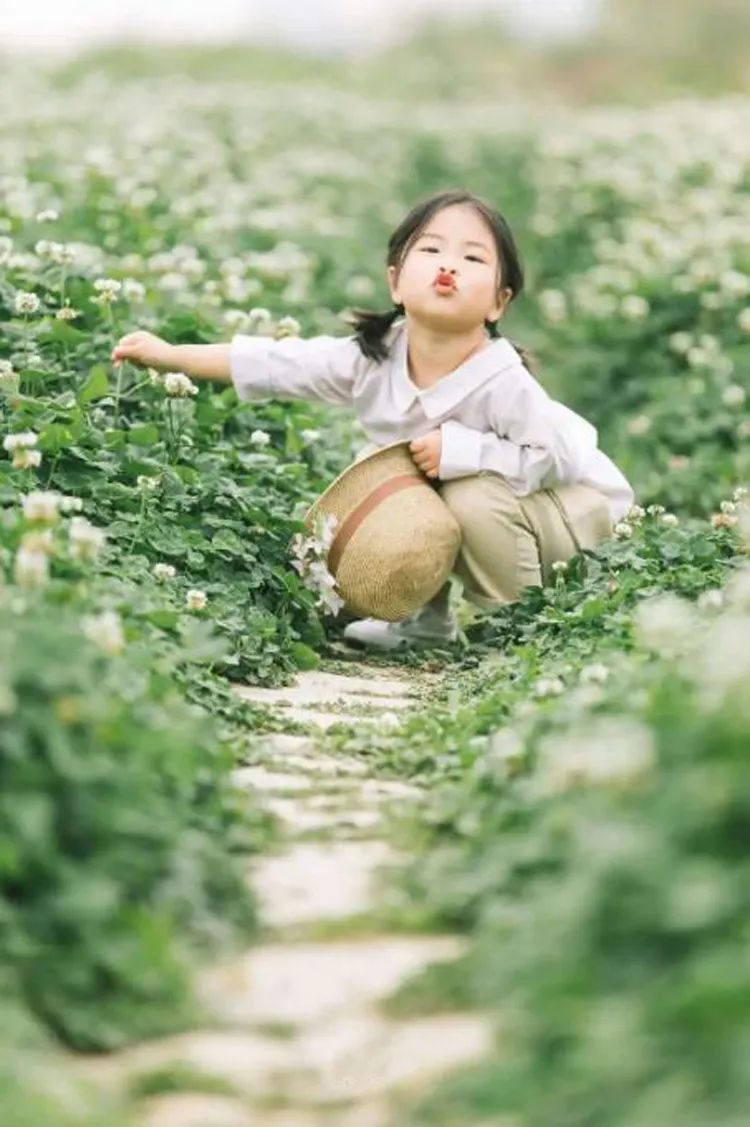 手机拍产品照片怎么拍出高级感,怎样用普通的手机拍出好看的照片