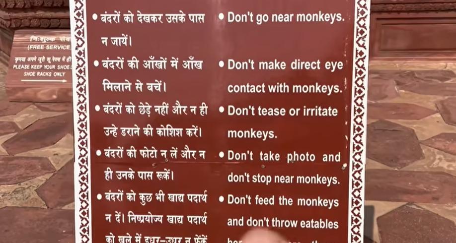 怎么样了解真实的印度,印度城市真实面貌